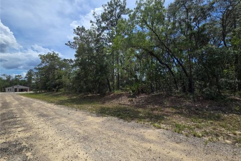 Land in Dunnellon, Florida № 2233850 - photo 2