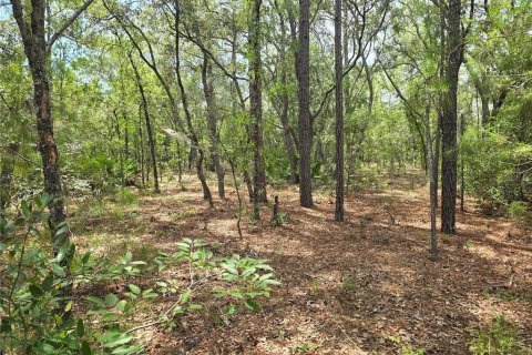 Land in Dunnellon, Florida № 2233850 - photo 4