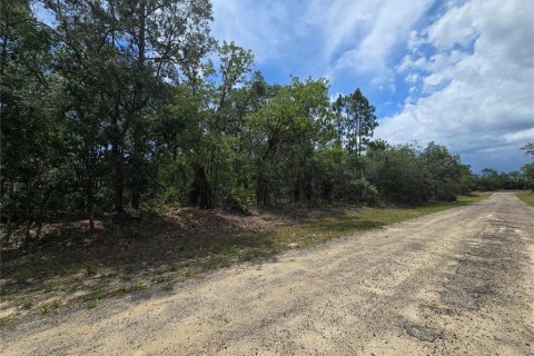 Land in Dunnellon, Florida № 2233850