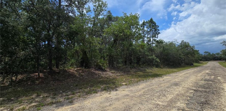 Land in Dunnellon, Florida № 2233850