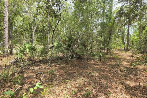 Land in Dunnellon, Florida № 2233850 - photo 7