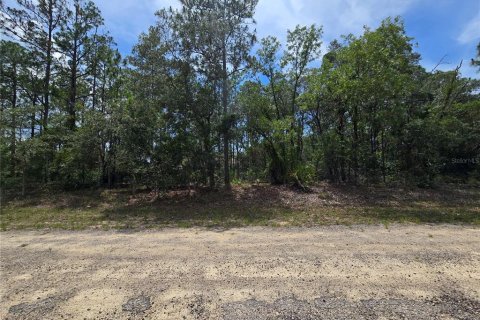 Land in Dunnellon, Florida № 2233850 - photo 3