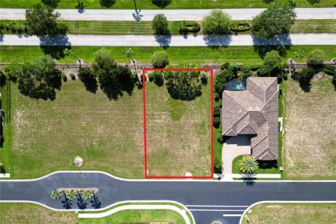 Land in Lake Alfred, Florida № 1906133 - photo 12