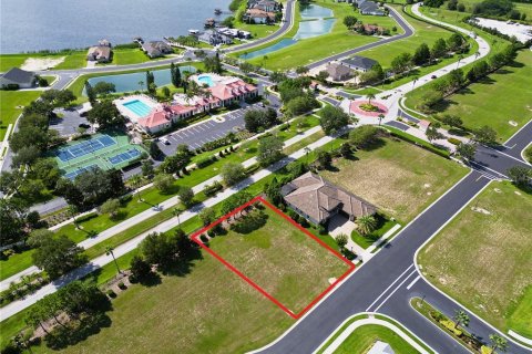 Land in Lake Alfred, Florida № 1906133 - photo 4
