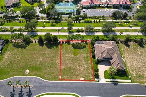 Land in Lake Alfred, Florida № 1906133 - photo 8