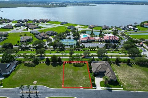 Land in Lake Alfred, Florida № 1906133 - photo 6