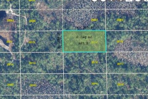 Land in Orlando, Florida № 2219141 - photo 2