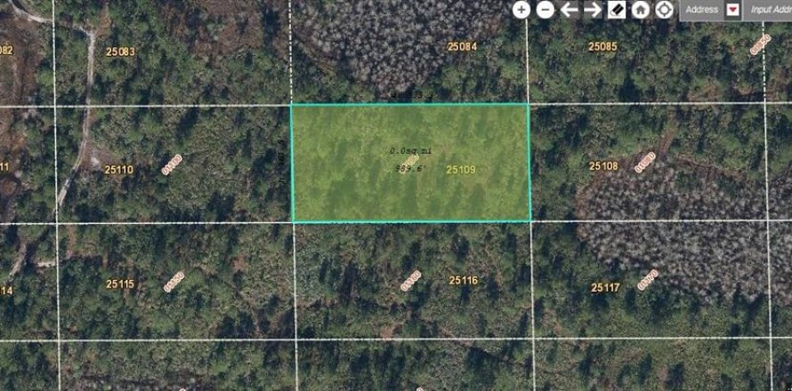 Land in Orlando, Florida № 2219141
