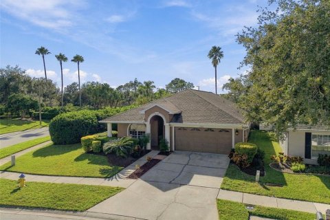House in Lutz, Florida 4 bedrooms, 216.28 sq.m. № 2428888 - photo 8