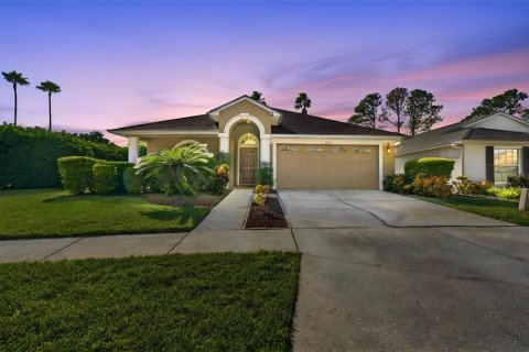 House in Lutz, Florida 4 bedrooms, 216.28 sq.m. № 2428888
