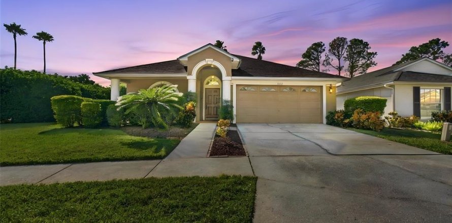 House in Lutz, Florida 4 bedrooms, 216.28 sq.m. № 2428888