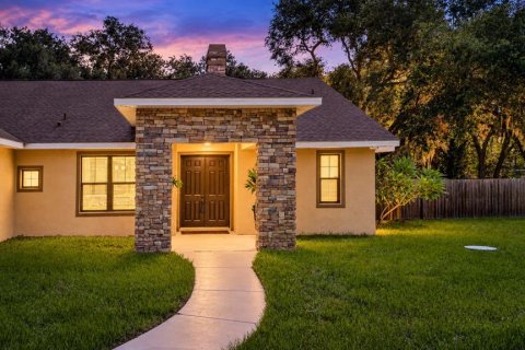 Villa ou maison à vendre à Wimauma, Floride: 4 chambres, 239.41 m2 № 2351844 - photo 3