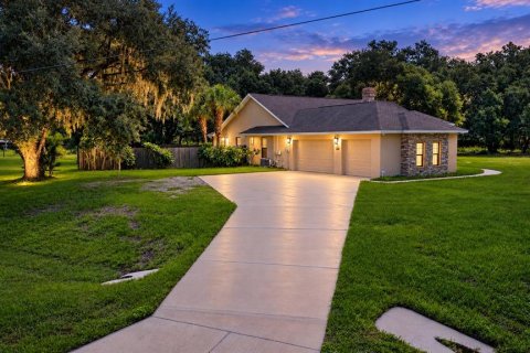 Villa ou maison à vendre à Wimauma, Floride: 4 chambres, 239.41 m2 № 2351844 - photo 2