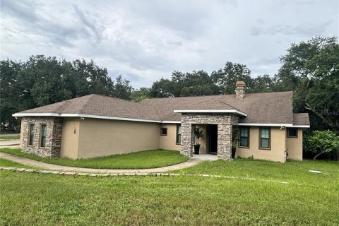 Villa ou maison à vendre à Wimauma, Floride: 4 chambres, 239.41 m2 № 2351844 - photo 4