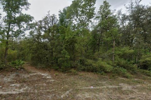 Terrain à Satsuma, Floride № 2164522