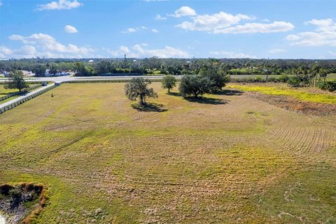 Terrain à vendre à Terra Ceia, Floride № 1587590 - photo 5
