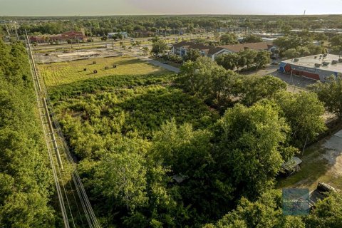 Land in Kissimmee, Florida № 1569000 - photo 8