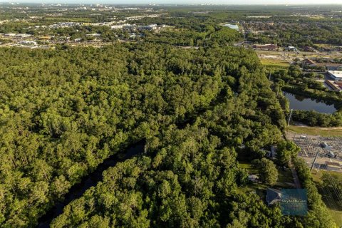 Land in Kissimmee, Florida № 1569000 - photo 5