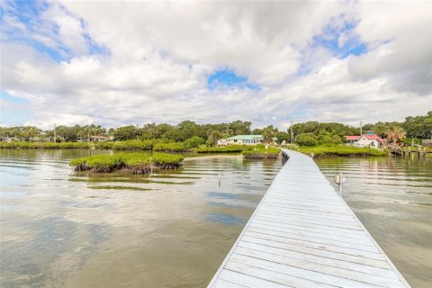 House in Edgewater, Florida 3 bedrooms, 208.47 sq.m. № 1810964 - photo 11
