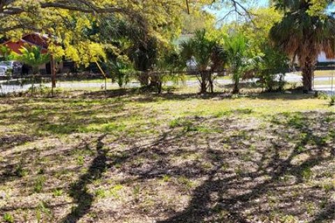 Land in Saint Petersburg, Florida № 722857 - photo 6