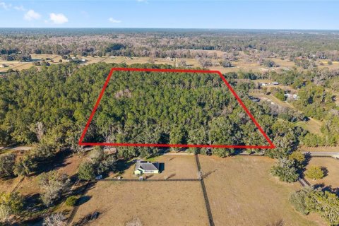 Land in Ocala, Florida № 2205923