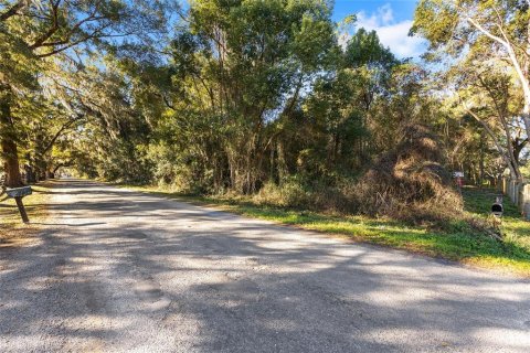 Terrain à vendre à Ocala, Floride № 2205923 - photo 5