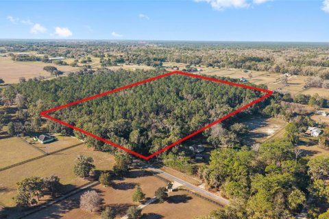 Terrain à vendre à Ocala, Floride № 2205923 - photo 2