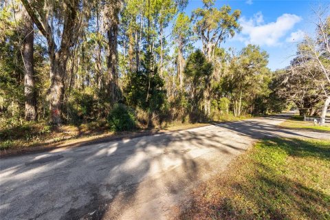 Terrain à vendre à Ocala, Floride № 2205923 - photo 3