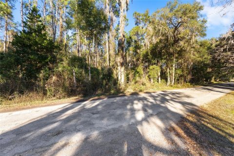 Terrain à vendre à Ocala, Floride № 2205923 - photo 4