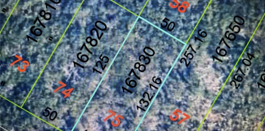 Land in Sugarloaf Key, Florida № 828108