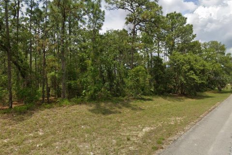 Land in Ocala, Florida № 2161406