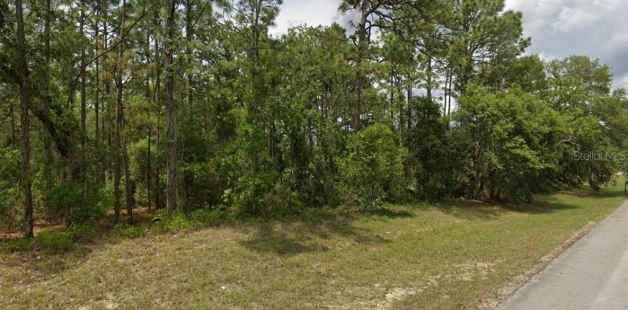 Land in Ocala, Florida № 2161406