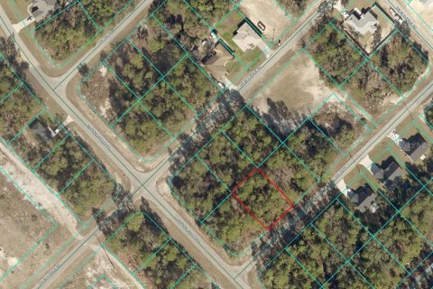 Land in Ocala, Florida № 2161406 - photo 2
