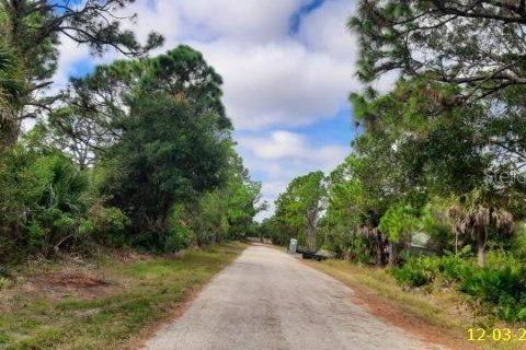 Land in Punta Gorda, Florida № 2159992 - photo 2