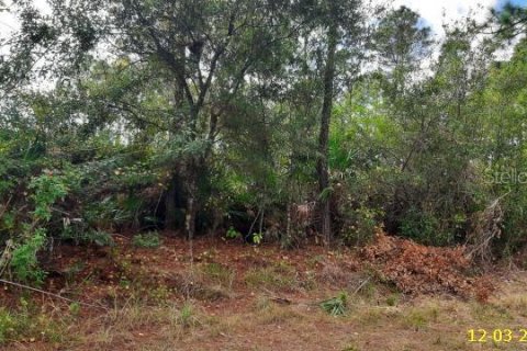 Land in Punta Gorda, Florida № 2159992