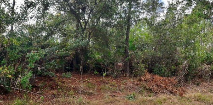 Land in Punta Gorda, Florida № 2159992