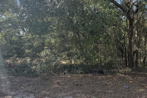 Land in Ocala, Florida № 2162897