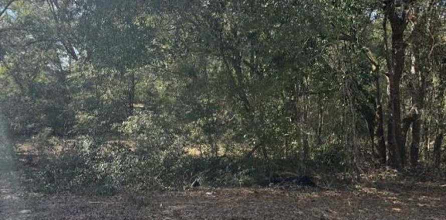 Land in Ocala, Florida № 2162897