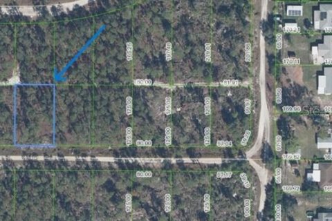 Land in Sebring, Florida № 2161586 - photo 2