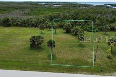Land in Punta Gorda, Florida № 2122411