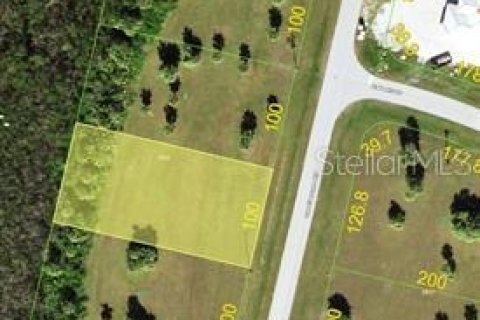 Land in Punta Gorda, Florida № 2122411 - photo 2