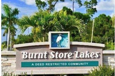 Land in Punta Gorda, Florida № 2122411 - photo 3
