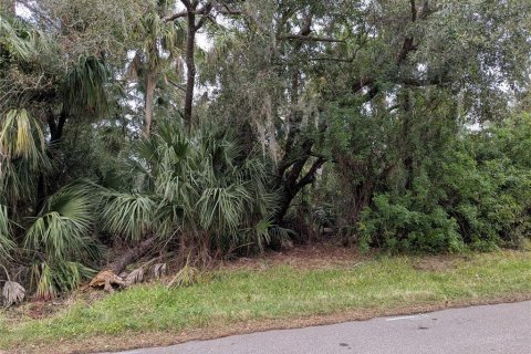 Land in Port Charlotte, Florida № 2161029 - photo 2