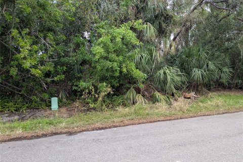 Land in Port Charlotte, Florida № 2161029 - photo 1