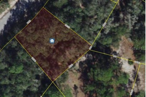 Land in Kissimmee, Florida № 2162851