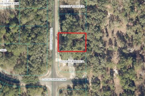 Land in Ocala, Florida № 1838579 - photo 1