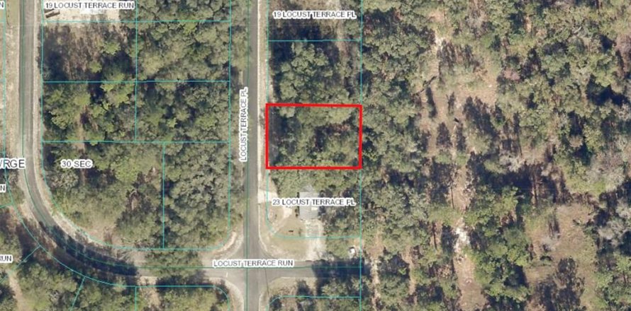 Land in Ocala, Florida № 1838579