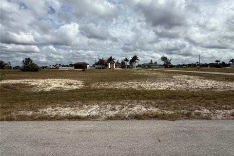 Land in Cape Coral, Florida № 2160257 - photo 3