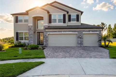 Villa ou maison à Wesley Chapel, Floride 5 chambres, 349.41 m2 № 2097767
