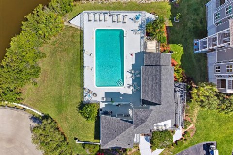 Condo in New Port Richey, Florida, 1 bedroom  № 1744970 - photo 26